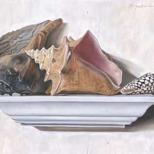 A-shell-collection-11-x-16-inches-oil-on-panel