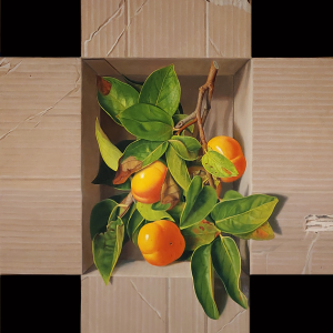 Boxe-in-26-x-23-inches-oil-non-panel