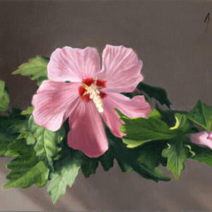 The-Rose-of-Sharon-7-x-14-inches-oil-on-panel
