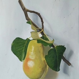 Pera-11.75-x-10-inches-oil-on-panel-